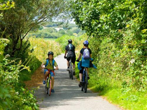 cycling.jpg_1548780873